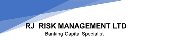 rjrisk management